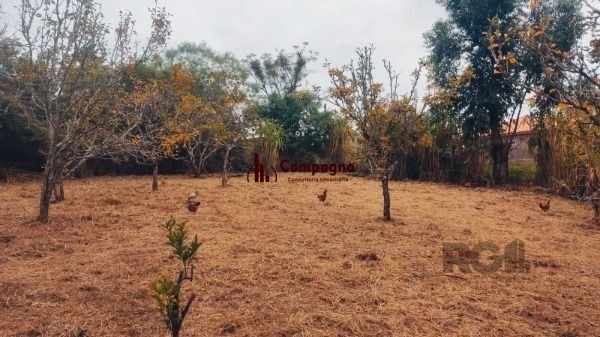 Area em Porto Alegre, no bairro Restinga, à venda. — foto 2
