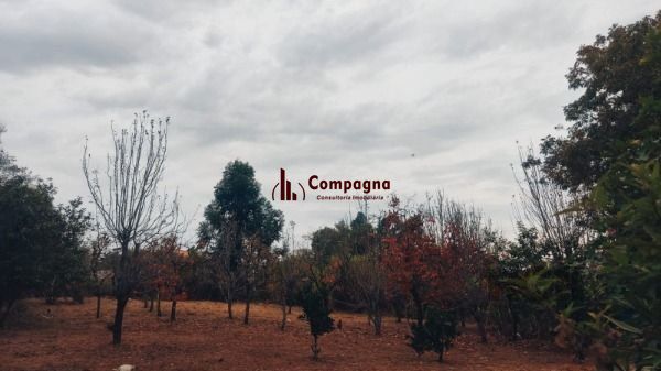 Area em Porto Alegre, no bairro Restinga, à venda. — foto 4