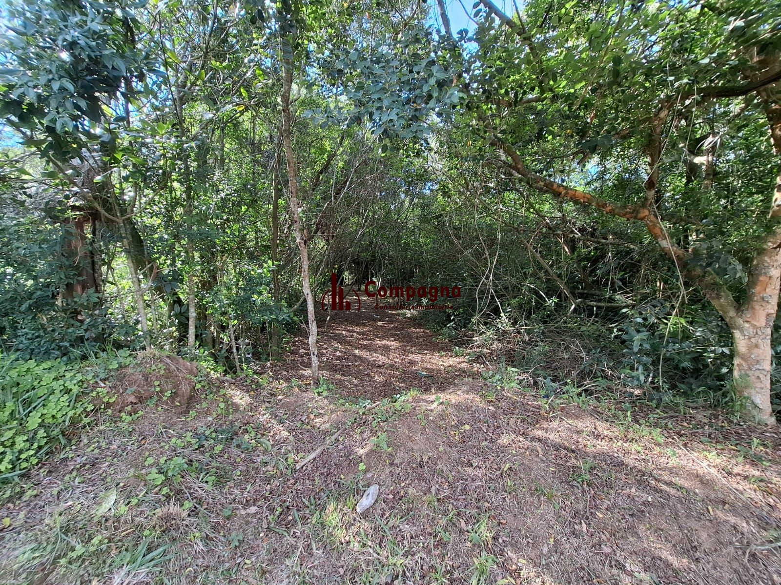 Terreno medindo 20 de frente por 65.46 de extenção Av Costa Gama 2845 — foto 3