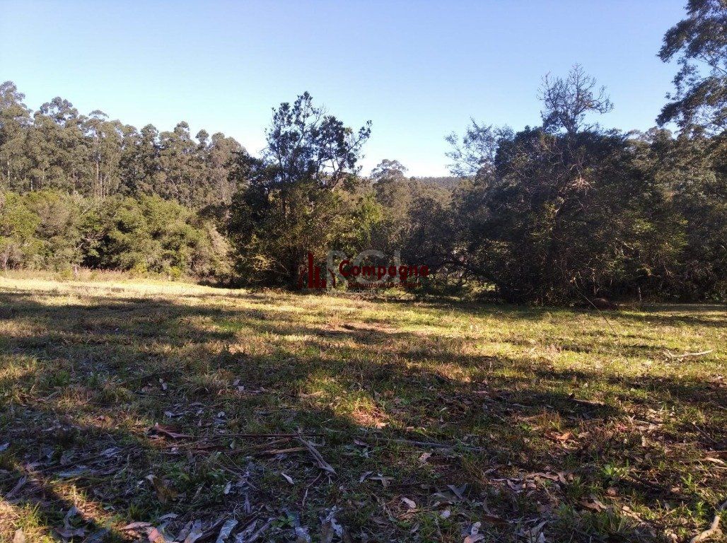 Sítio para Venda - 2500m², 0 dormitórios, Passo Da Areia — foto 3