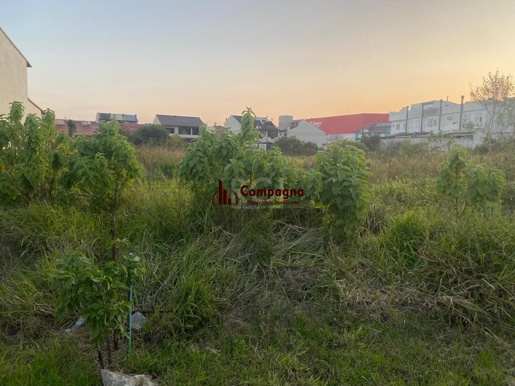Terreno para Venda - 329.43m², 0 dormitórios, Hípica — foto 5