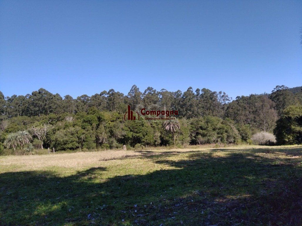 Sítio para Venda - 2500m², 0 dormitórios, Passo Da Areia — foto 4