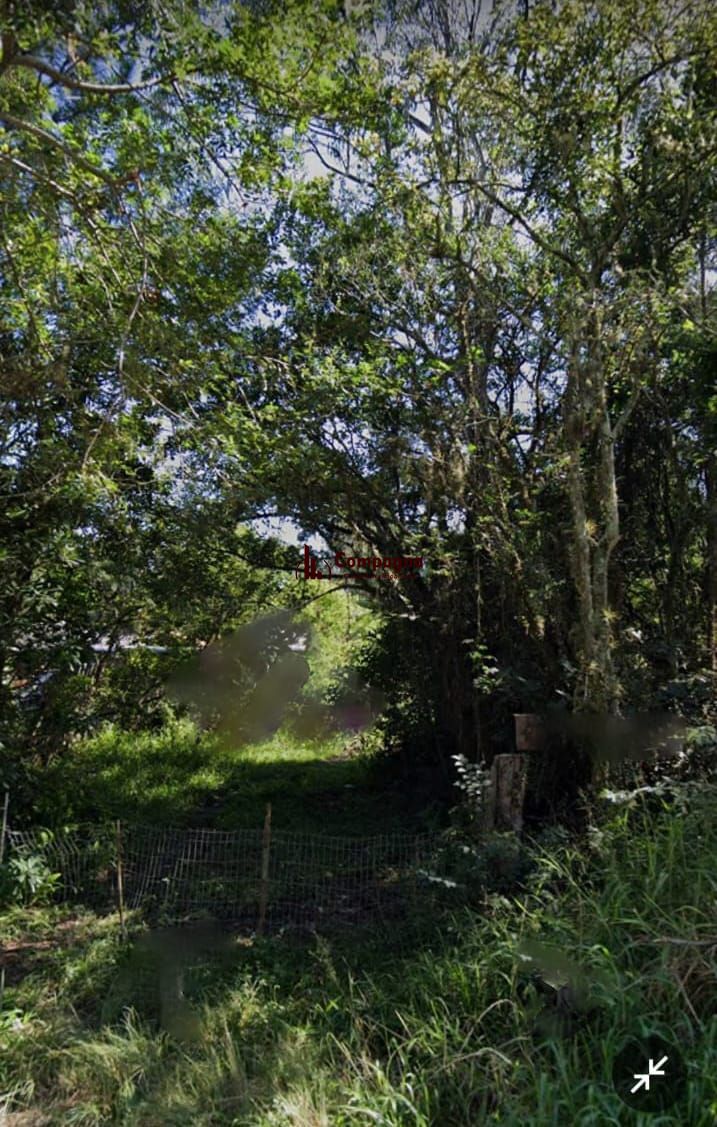Terreno à venda, Parque Florestal (Itapuã) - Viamão — foto 2