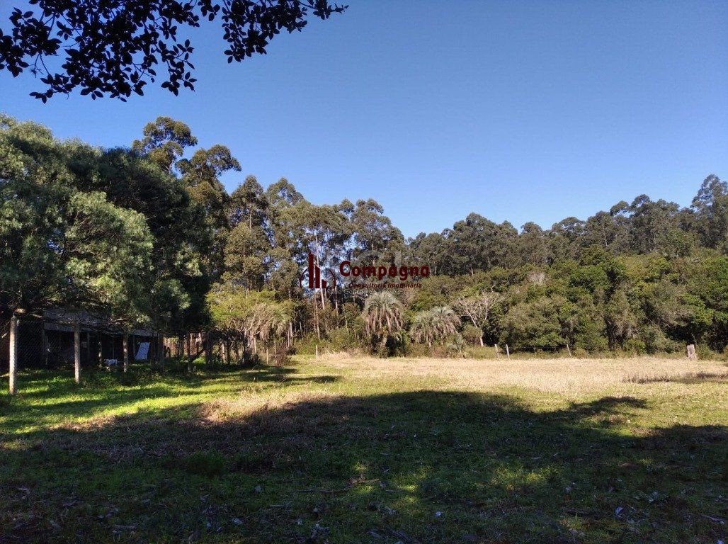 Sítio para Venda - 2500m², 0 dormitórios, Passo Da Areia — foto 2