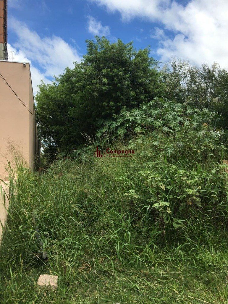 Terreno à venda, Ponta Grossa - Porto Alegre — foto 5