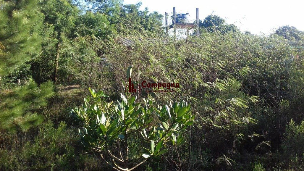 Sítio à venda, 3000m², Águas Claras - Viamão