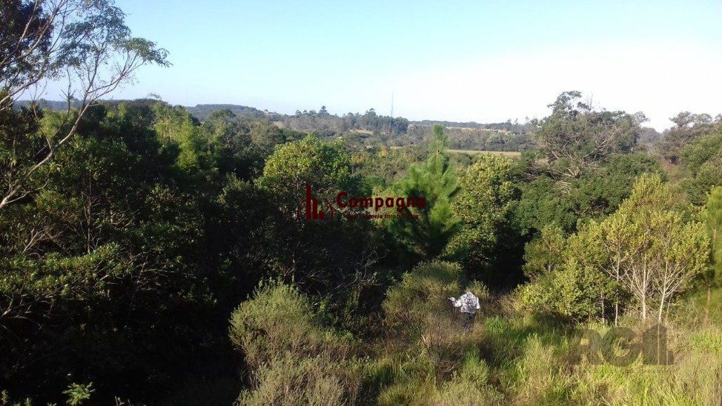 Sítio à venda, 3000m², Águas Claras - Viamão — foto 4