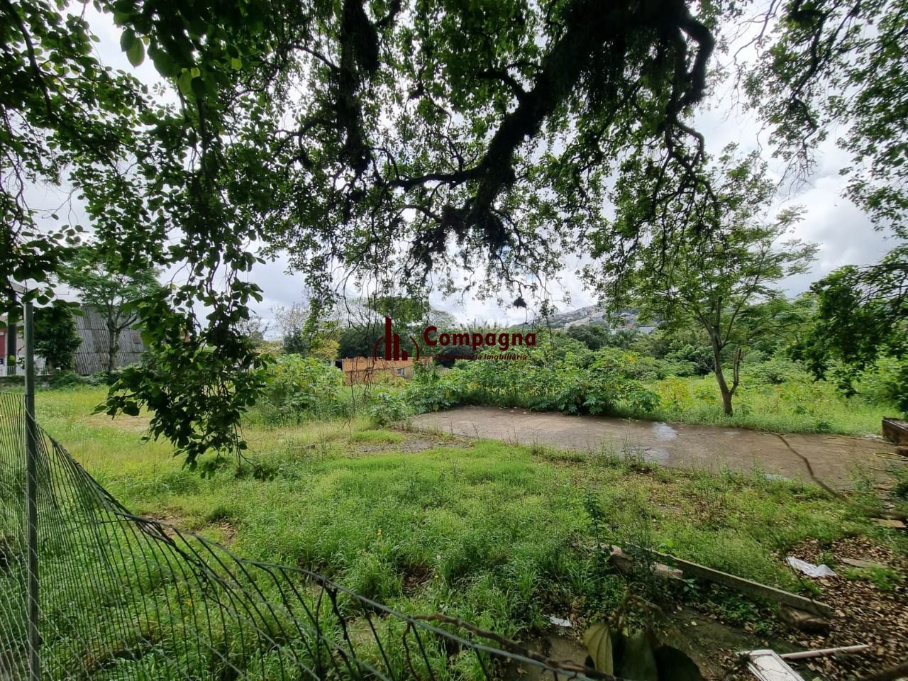 Terreno para Venda - 3778m² Na Avenida Cavalhada — foto 4