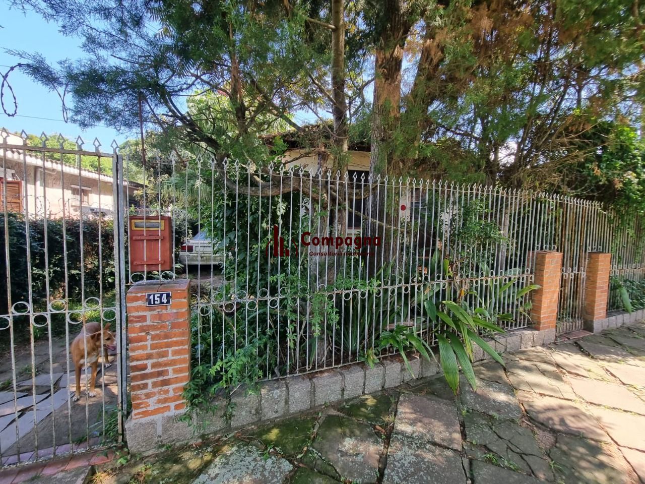 Terreno Plano 435m² Ipanema Proximo Guaíba — foto 2