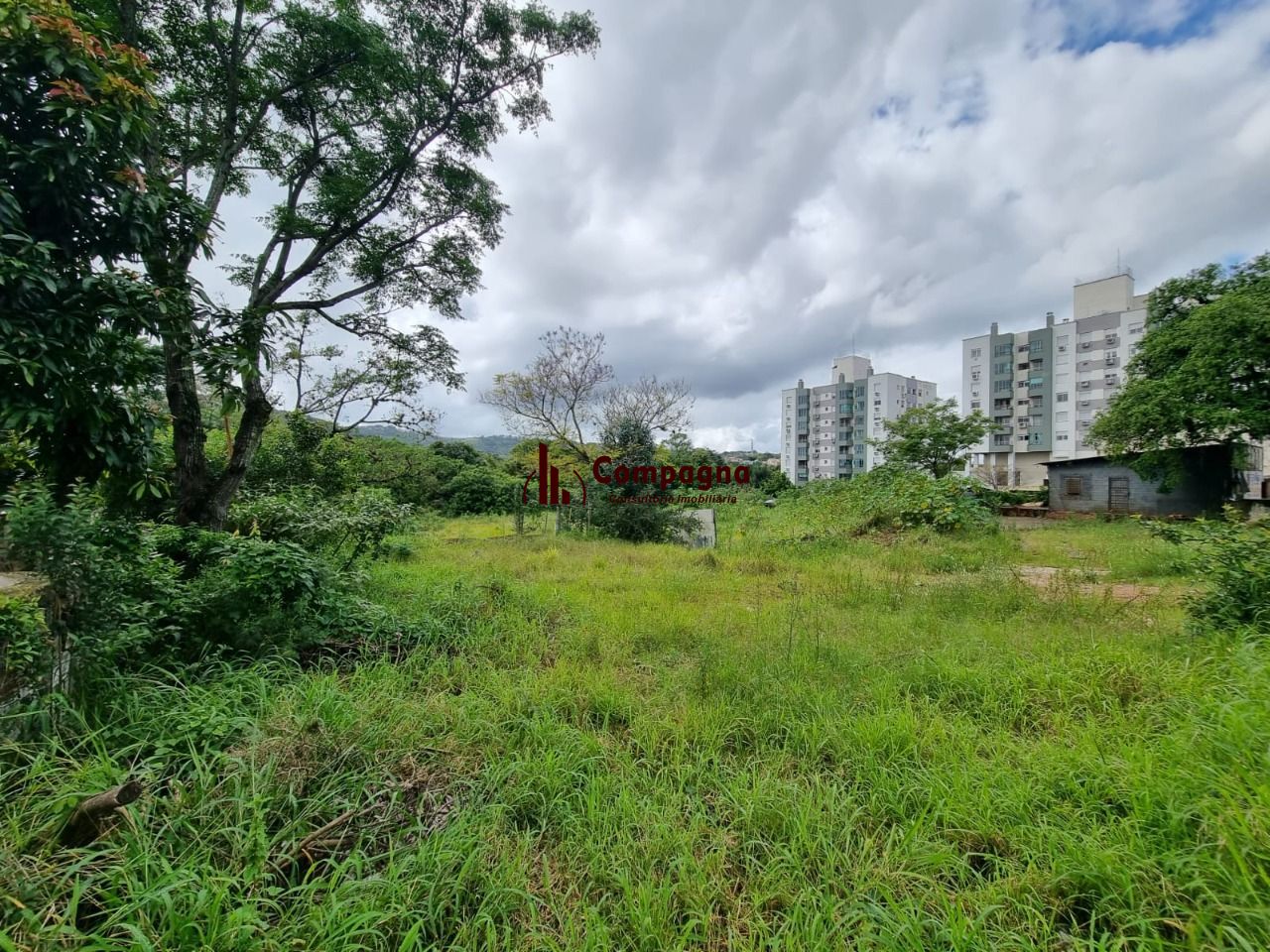 Terreno para Venda - 3778m² Na Avenida Cavalhada — foto 5