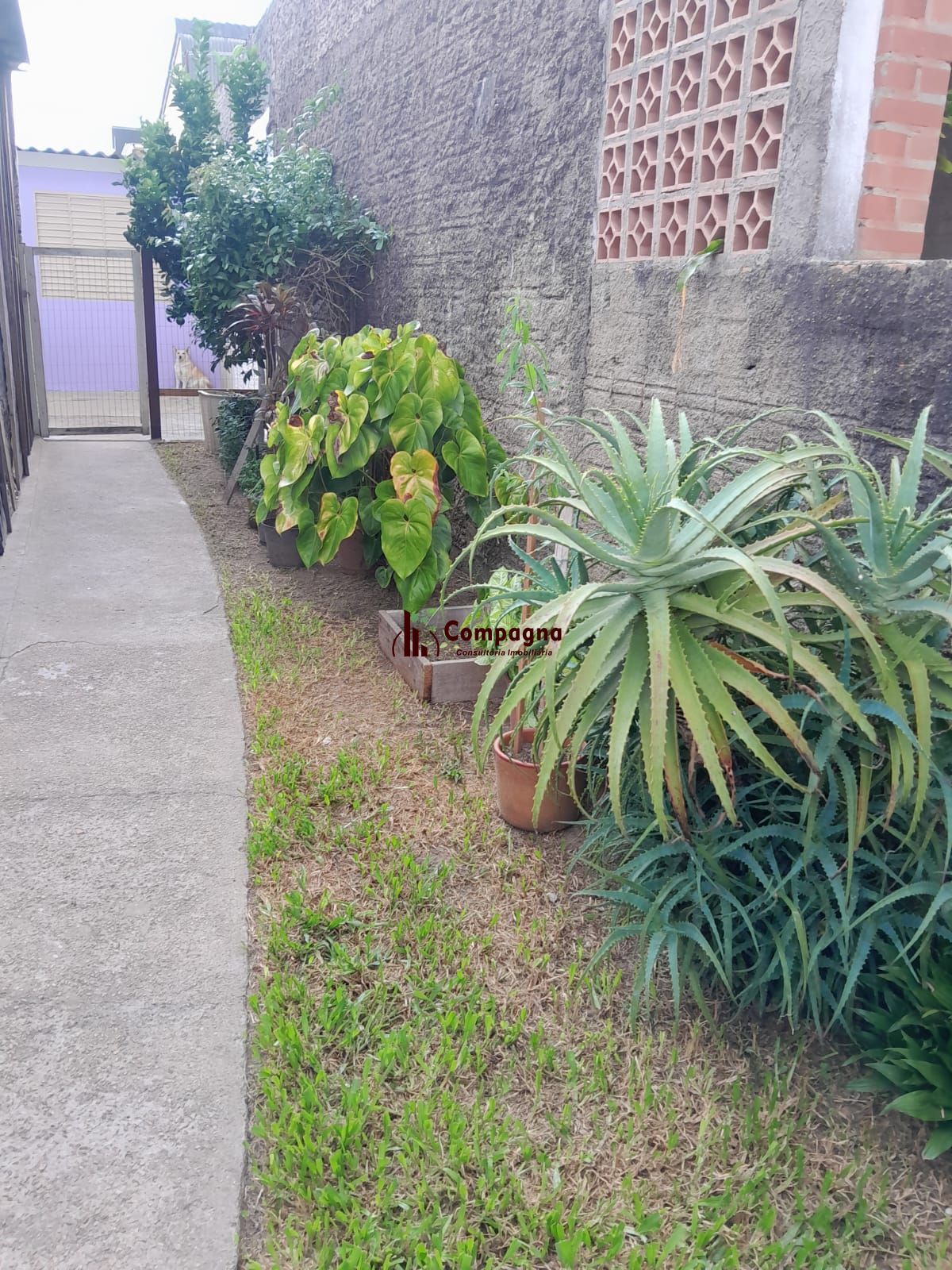 Casa no bairro Hípica - 2 dormitórios — foto 2