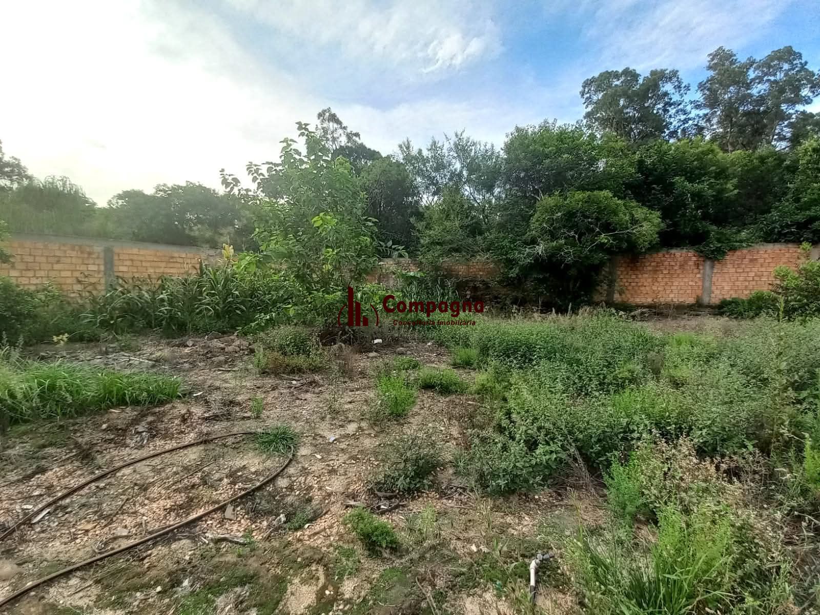 Terreno Bairro Restinga - Zona Sul — foto 3