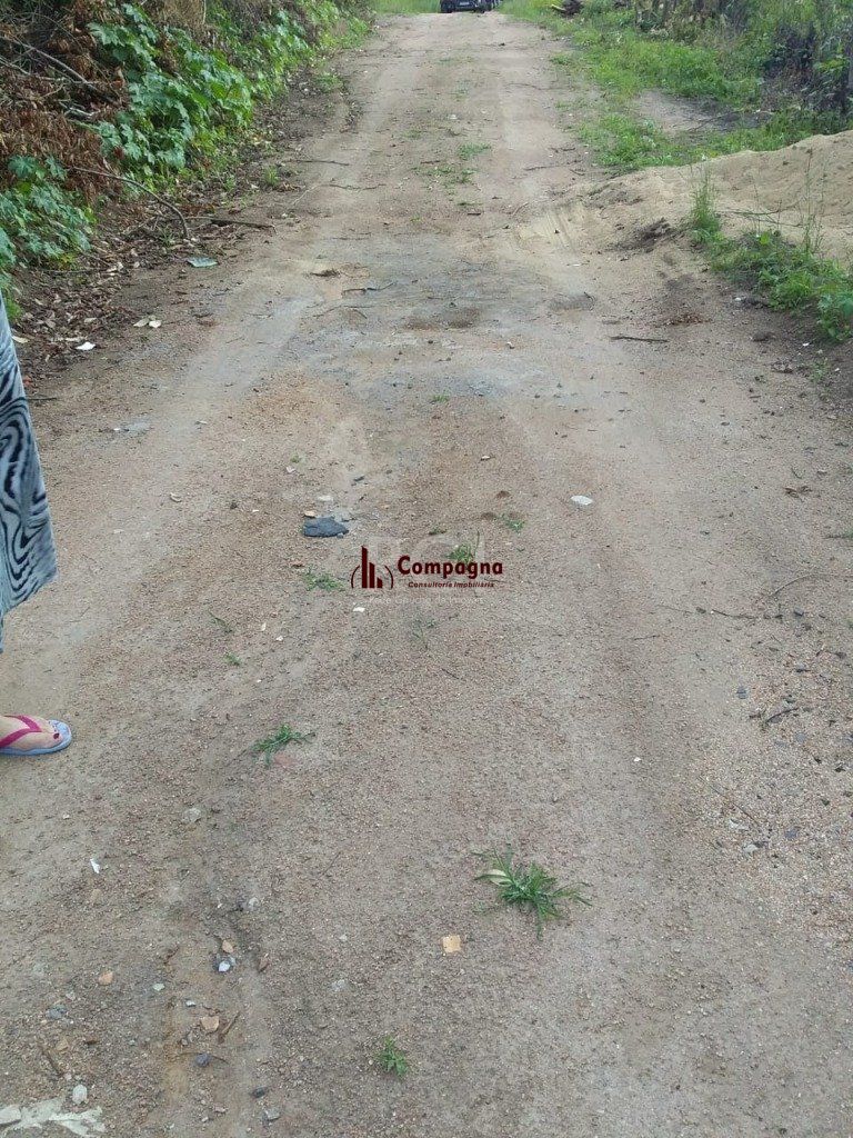 Terreno à venda, Vila Nova - Porto Alegre — foto 5