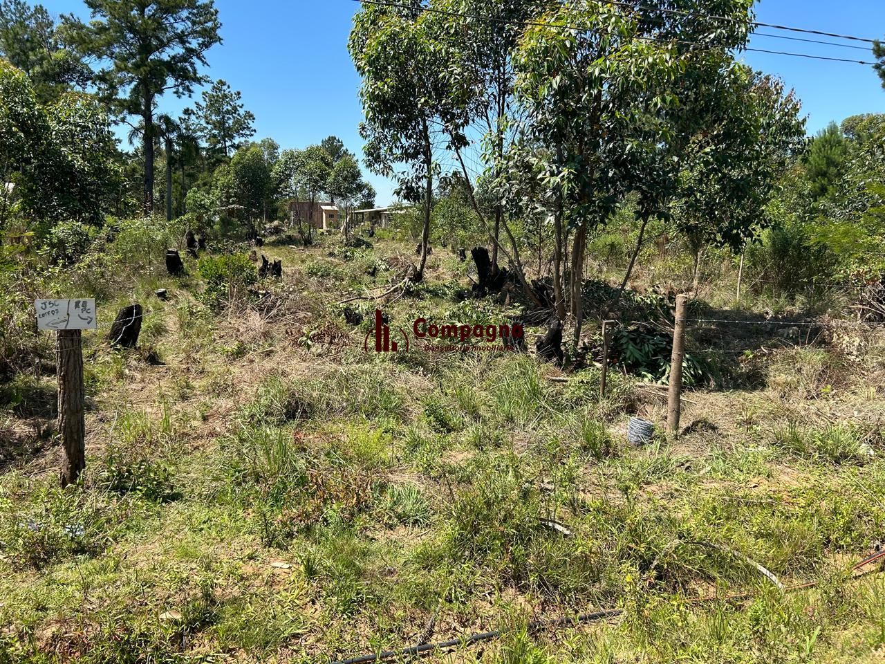 Terreno à venda, Lageado - Porto Alegre — foto 3