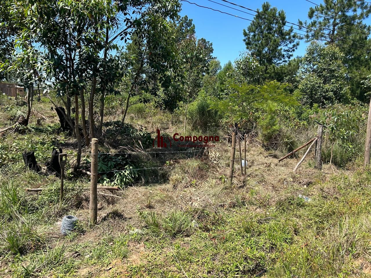 Terreno à venda, Lageado - Porto Alegre — foto 4