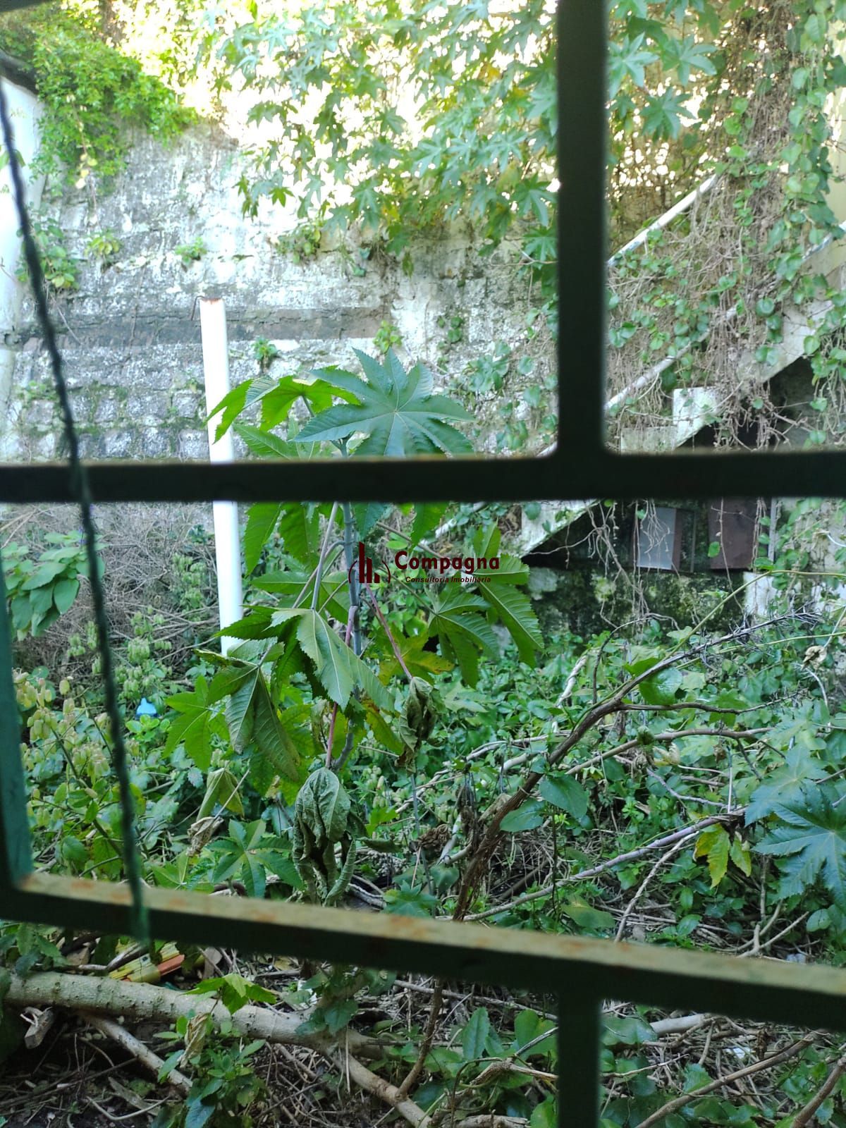 Casa 3 quartos à venda, 300m², Jardim São Pedro - Porto Alegre — foto 5