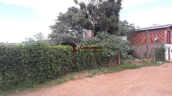 .jpg+2025-03-05