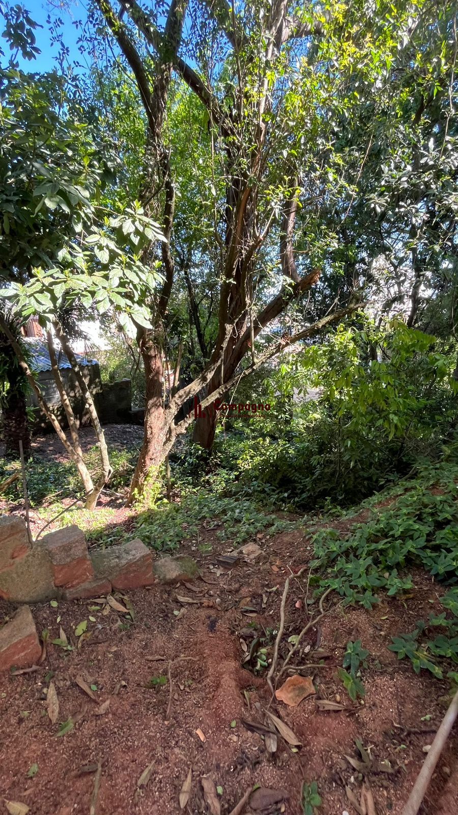 Excelente oportunidade para empreender, Bairro Tristeza, Zona Sul de Porto Alegre/RS — foto 2