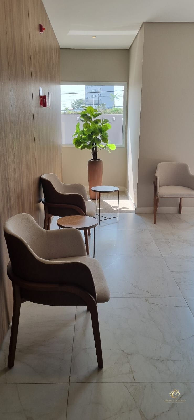Apartamento à venda com 3 quartos, 81m² - Foto 5