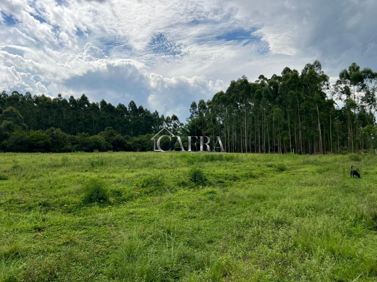 Sítio, 2 quartos, 7 hectares - Foto 10