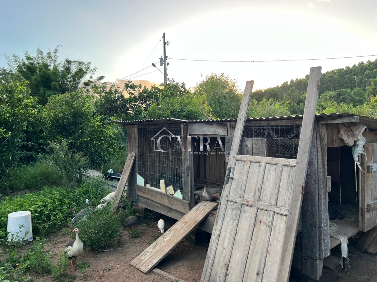 Sítio, 2 quartos, 7 hectares - Foto 6