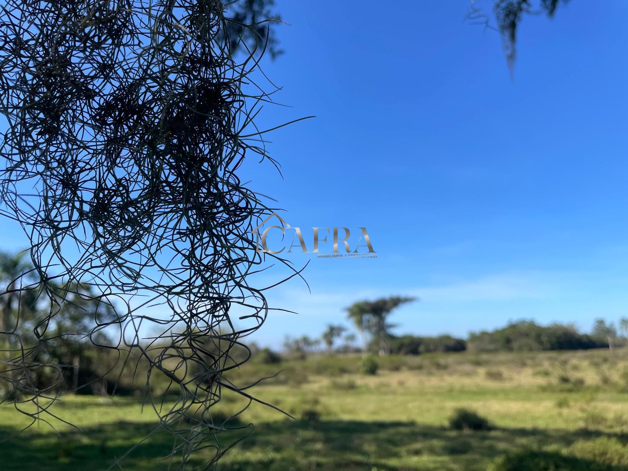 Terreno, 1500 m² - Foto 5