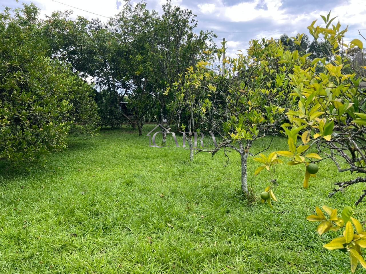 Sítio, 2 quartos, 7 hectares - Foto 8