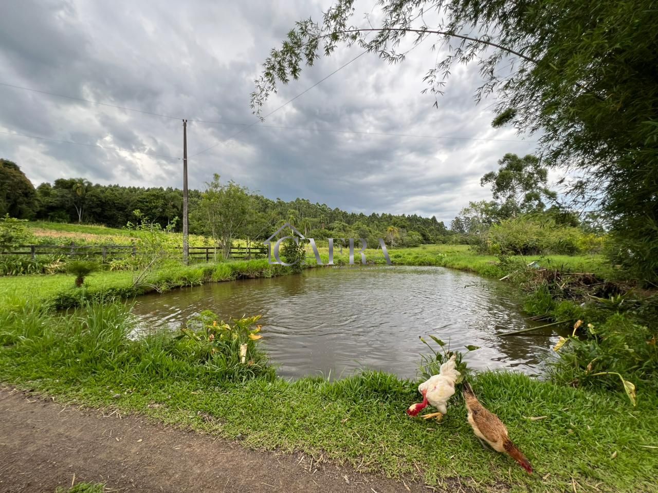 Sítio, 2 quartos, 7 hectares - Foto 2