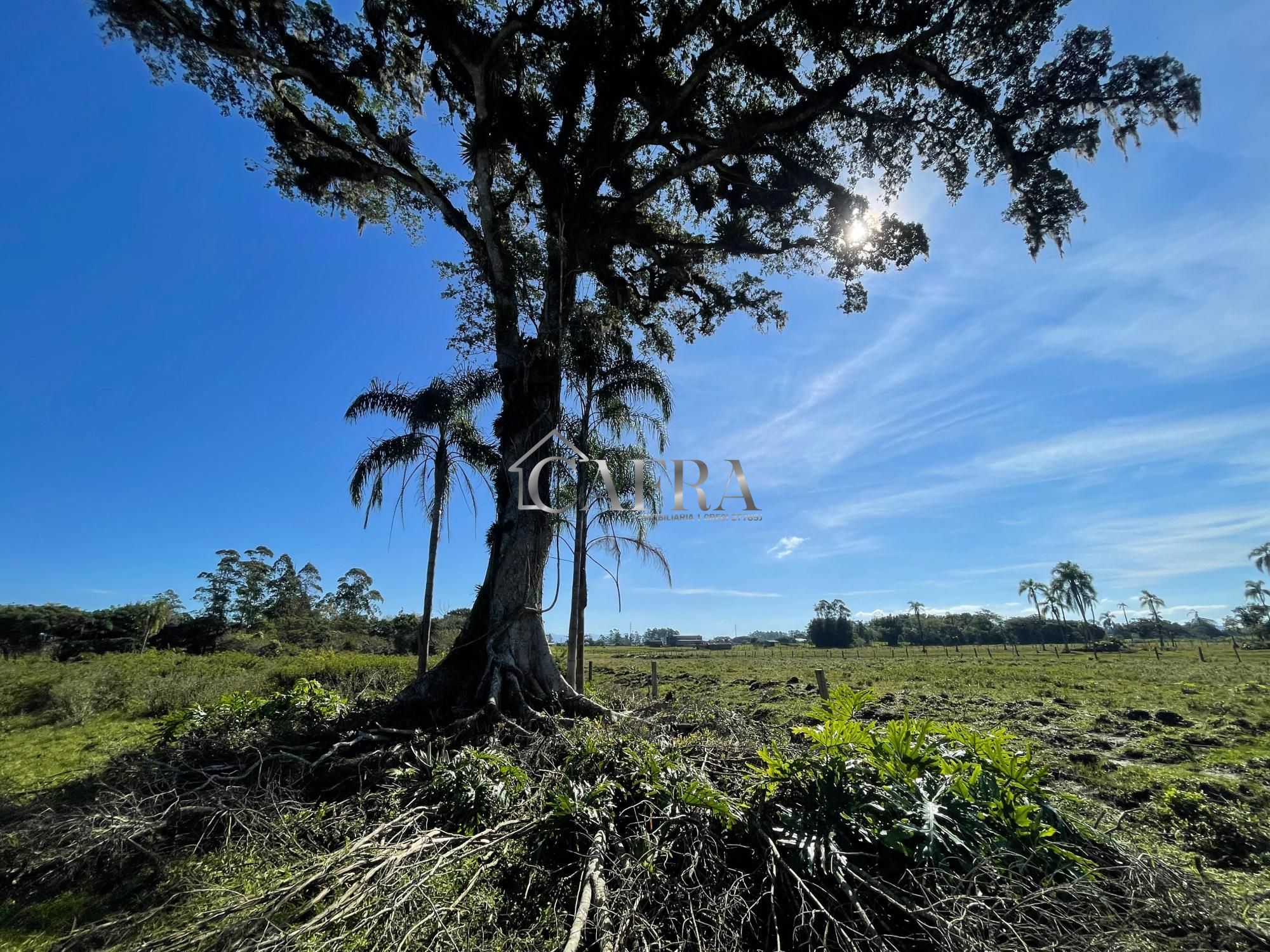 Terreno, 1500 m² - Foto 1