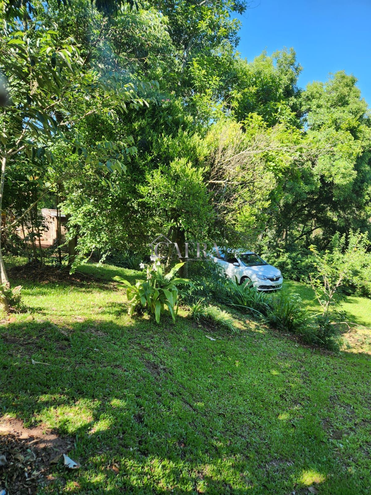 Chácara à venda com 1 quarto, 800m² - Foto 3