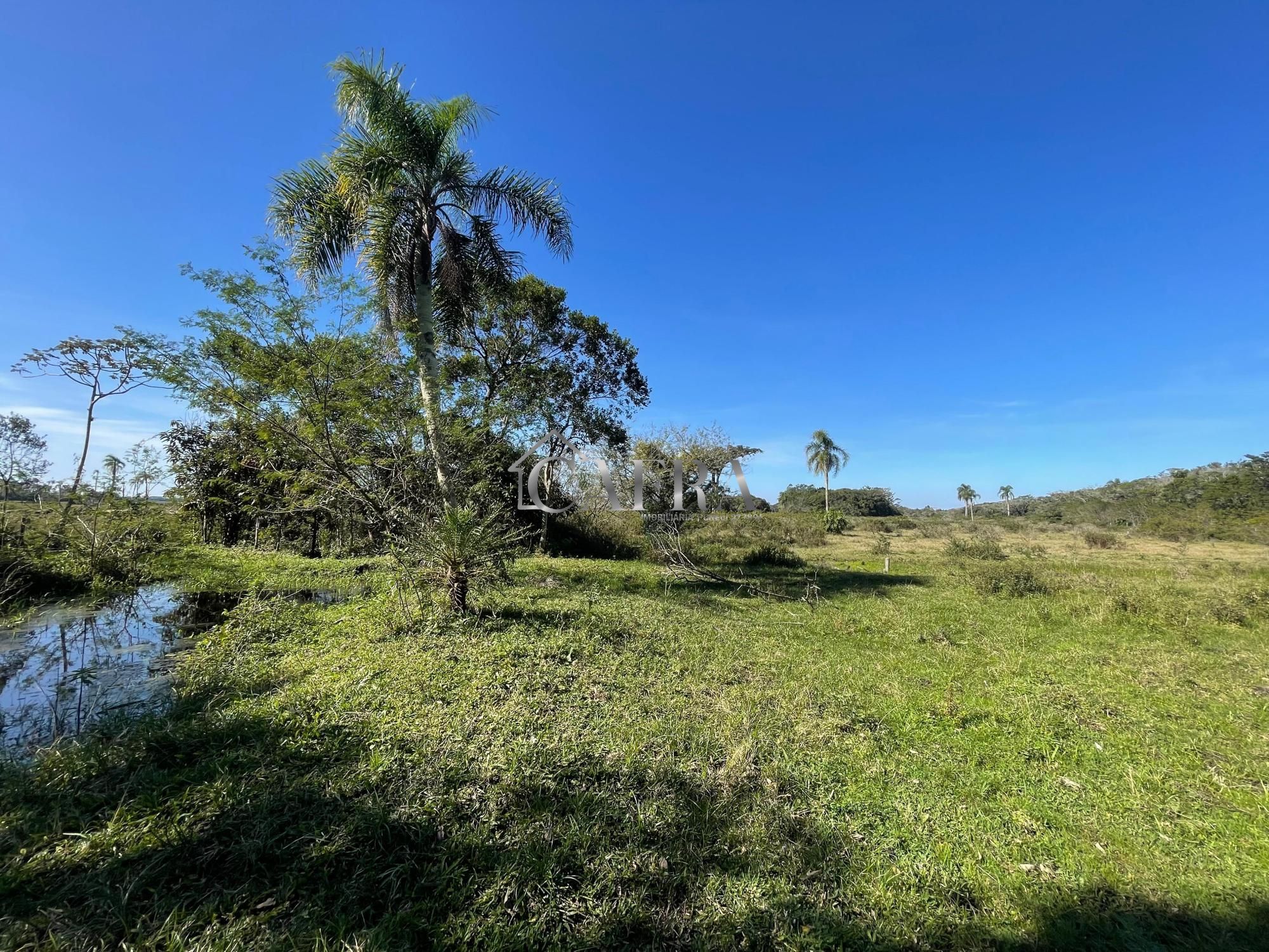 Terreno, 1500 m² - Foto 6