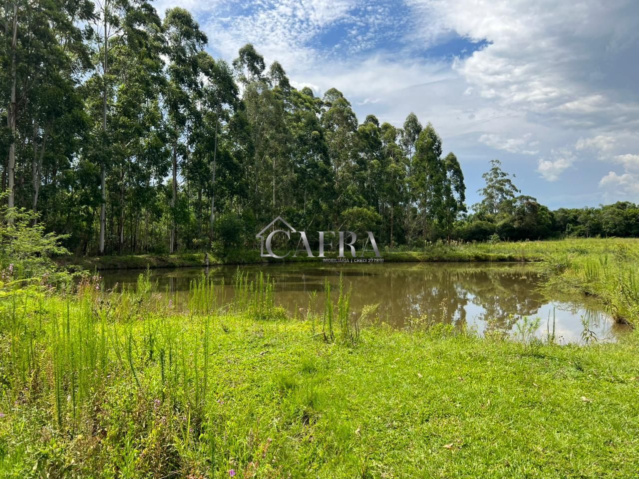 Sítio, 2 quartos, 7 hectares - Foto 7