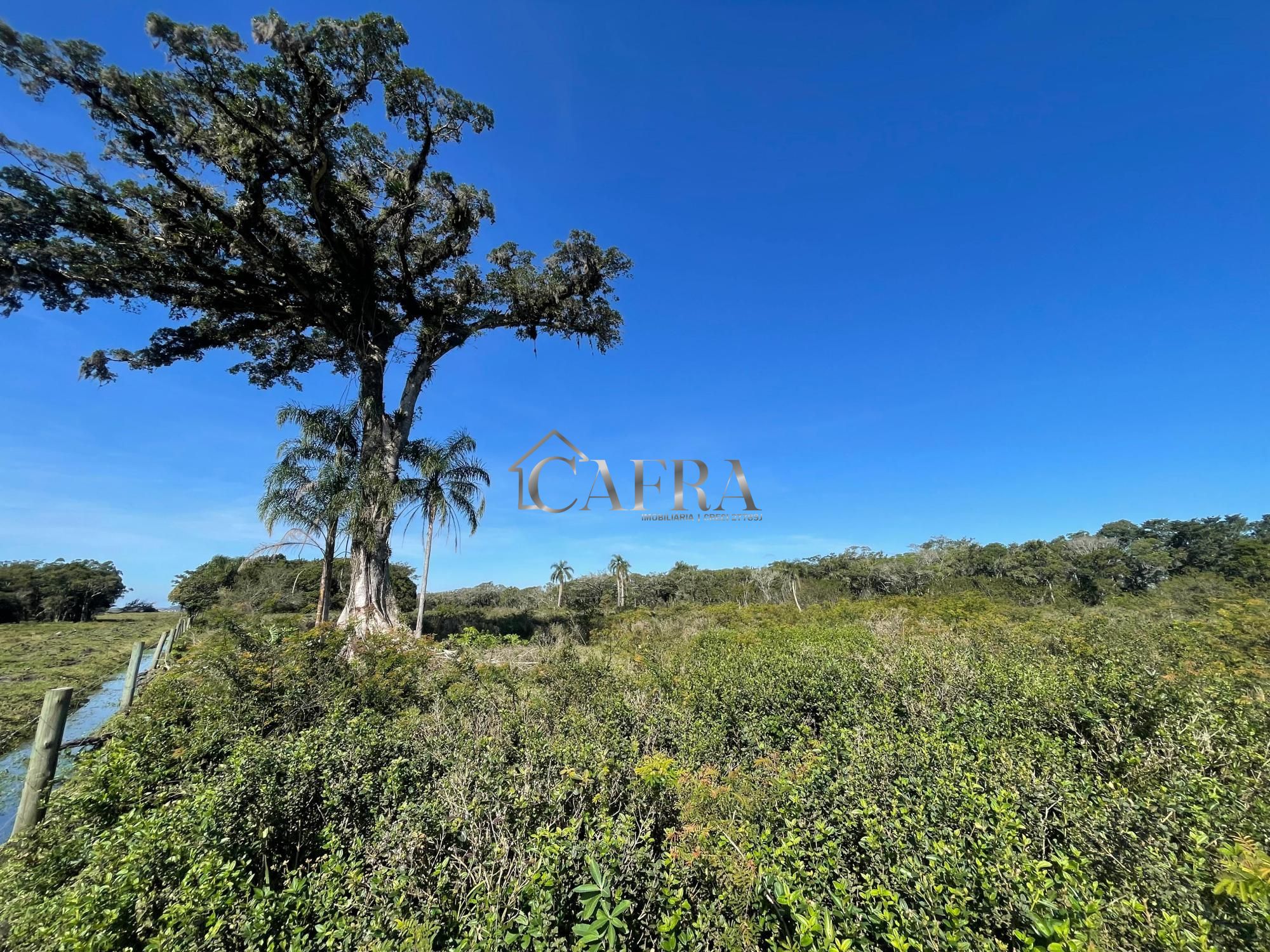 Terreno, 1500 m² - Foto 3