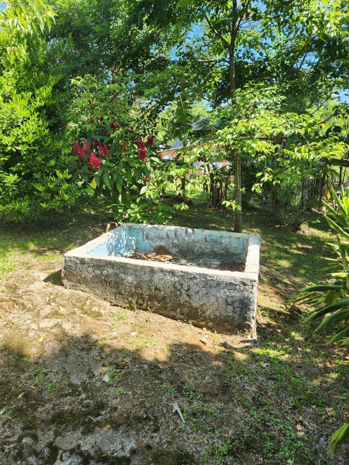 Chácara à venda com 1 quarto, 800m² - Foto 12