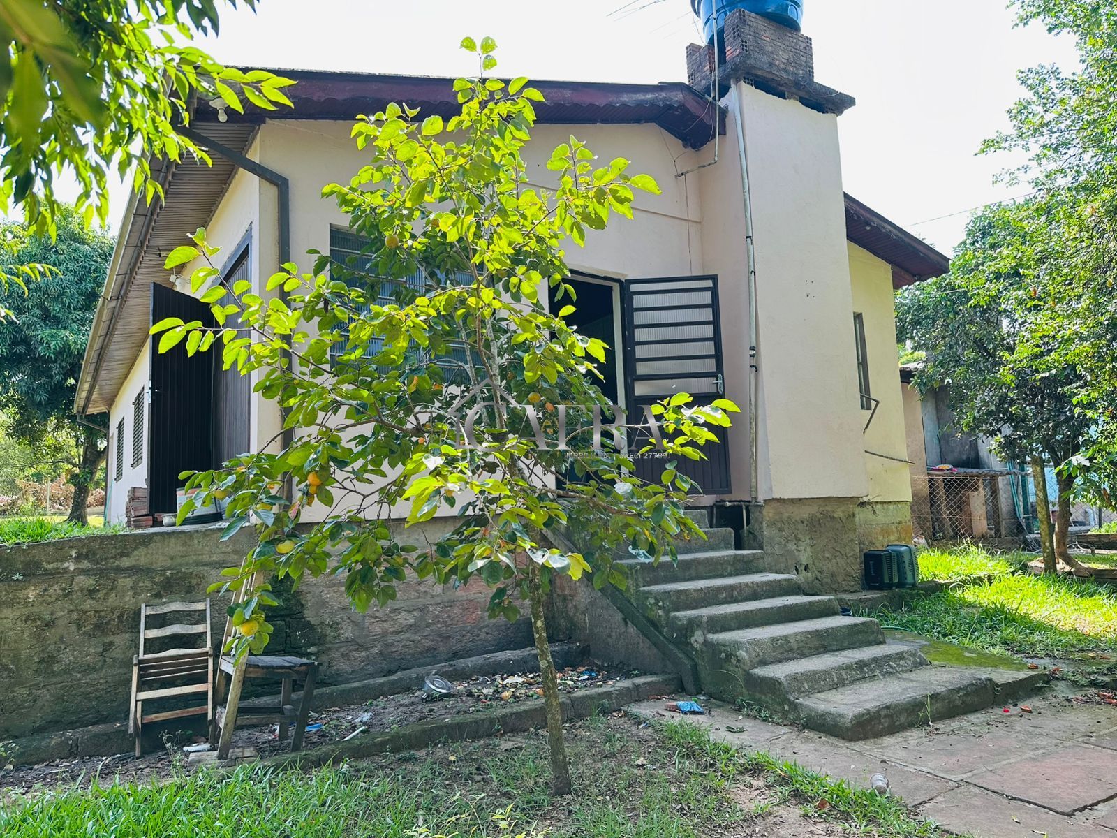 Sítio, 3 quartos, 1000 m² - Foto 3