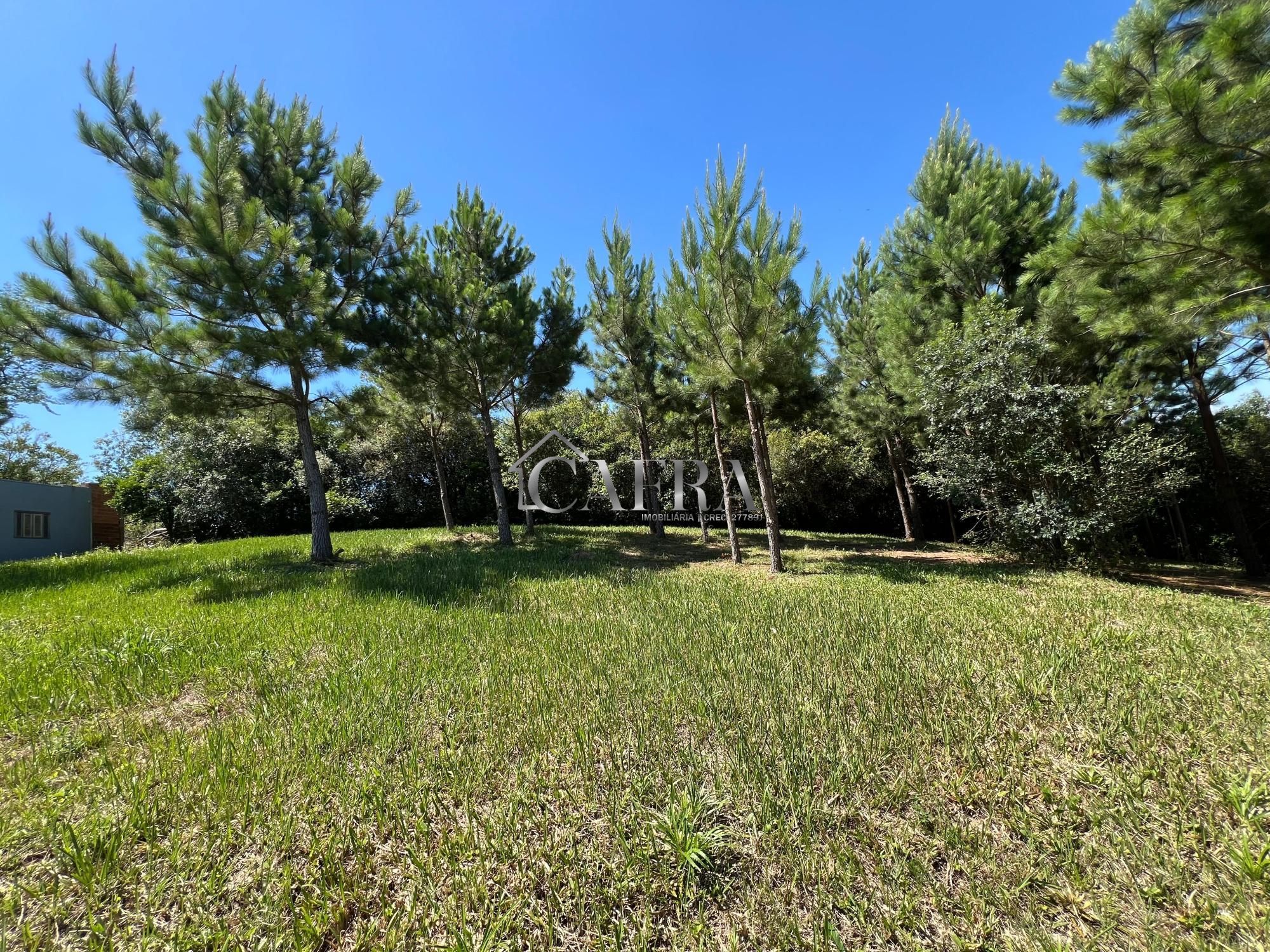 Terreno, 1000 m² - Foto 6