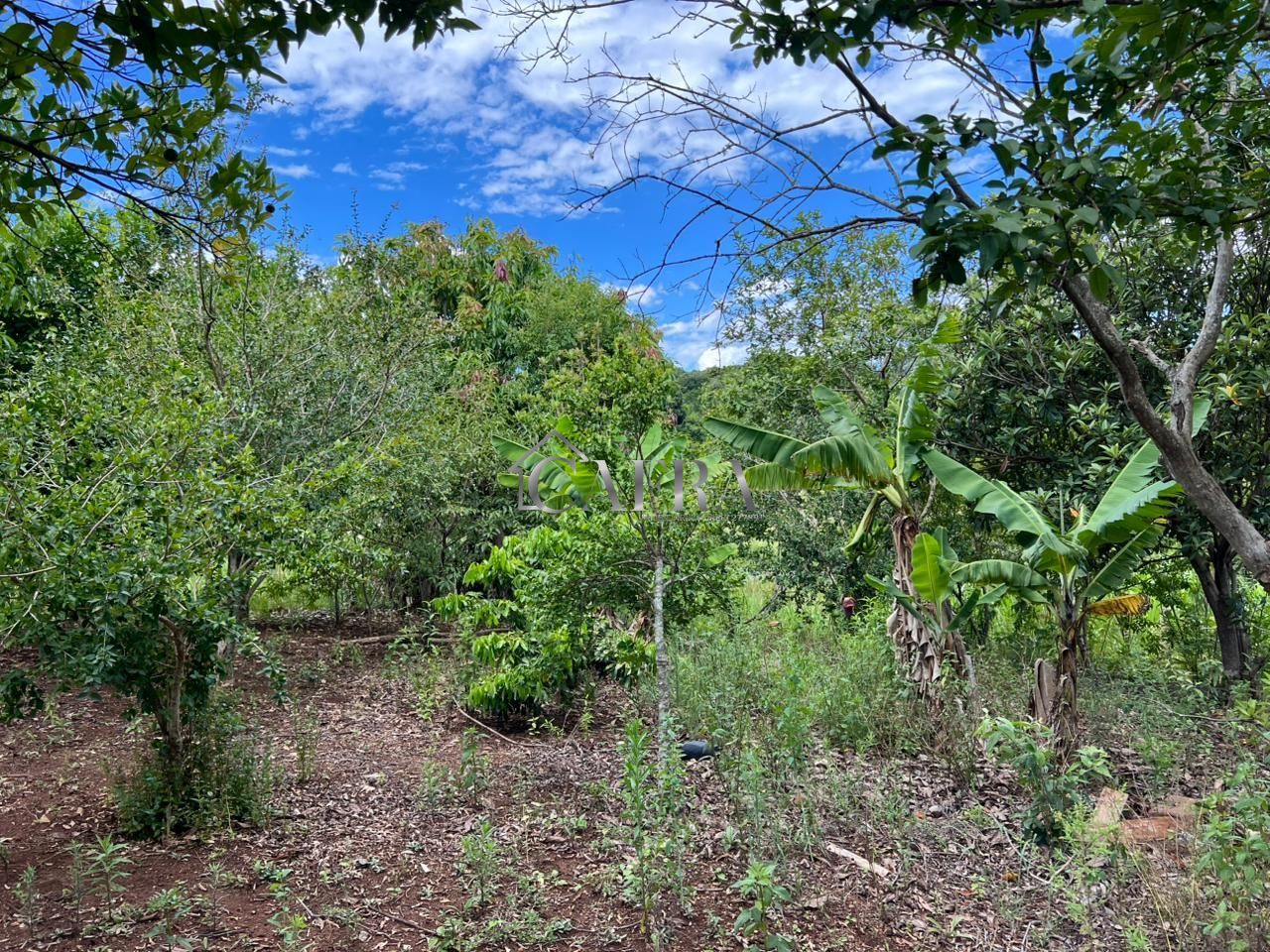 Chácara, 2 quartos, 2234 m² - Foto 6