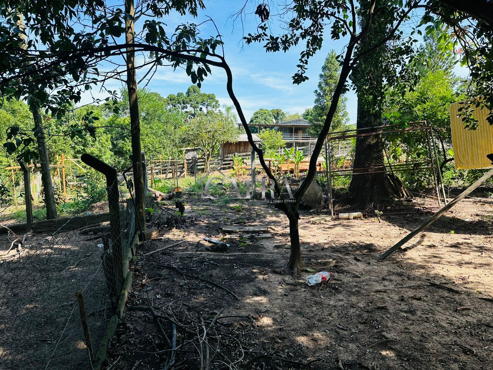 Sítio, 3 quartos, 1000 m² - Foto 6