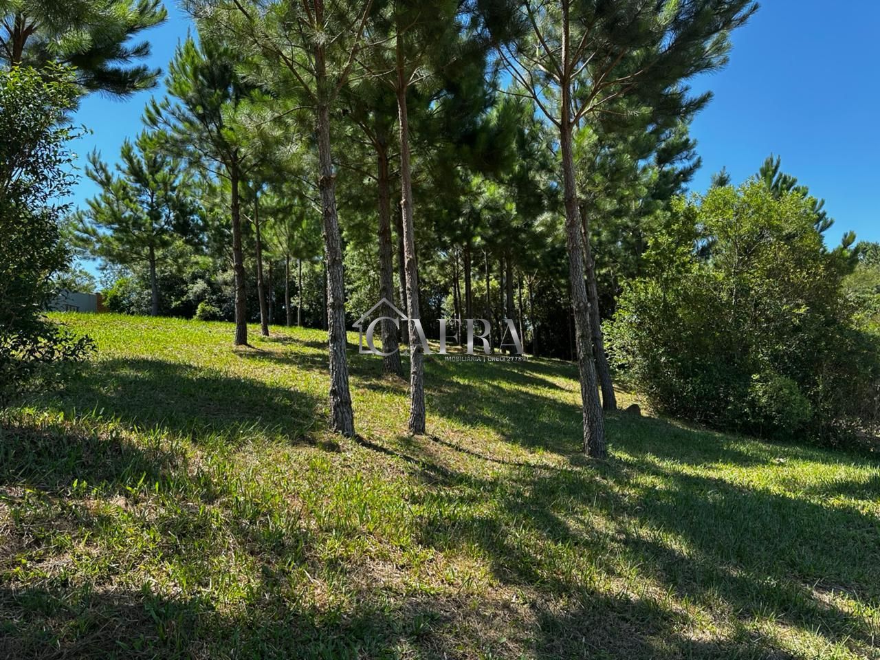 Terreno, 1000 m² - Foto 4