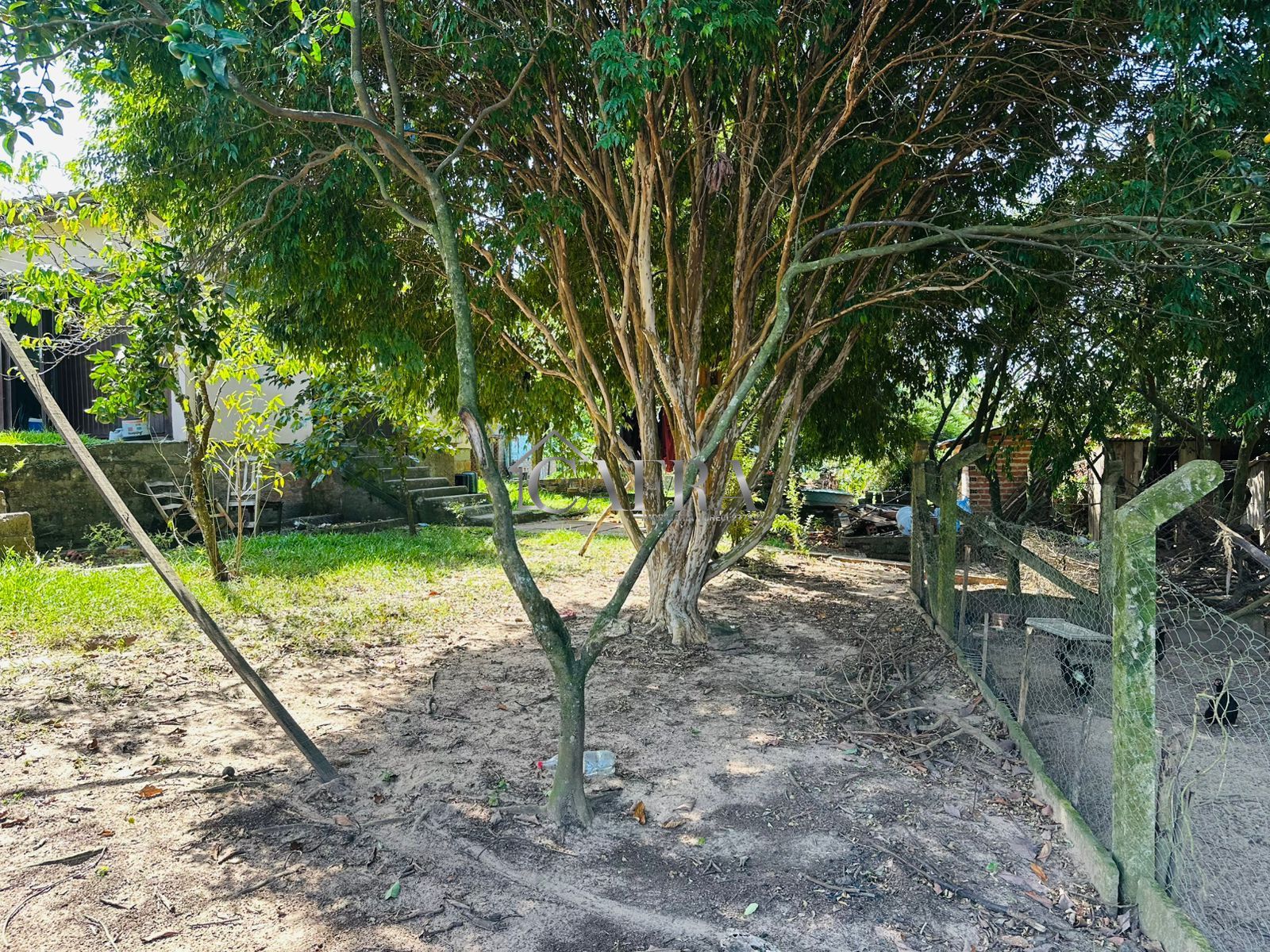 Sítio, 3 quartos, 1000 m² - Foto 4