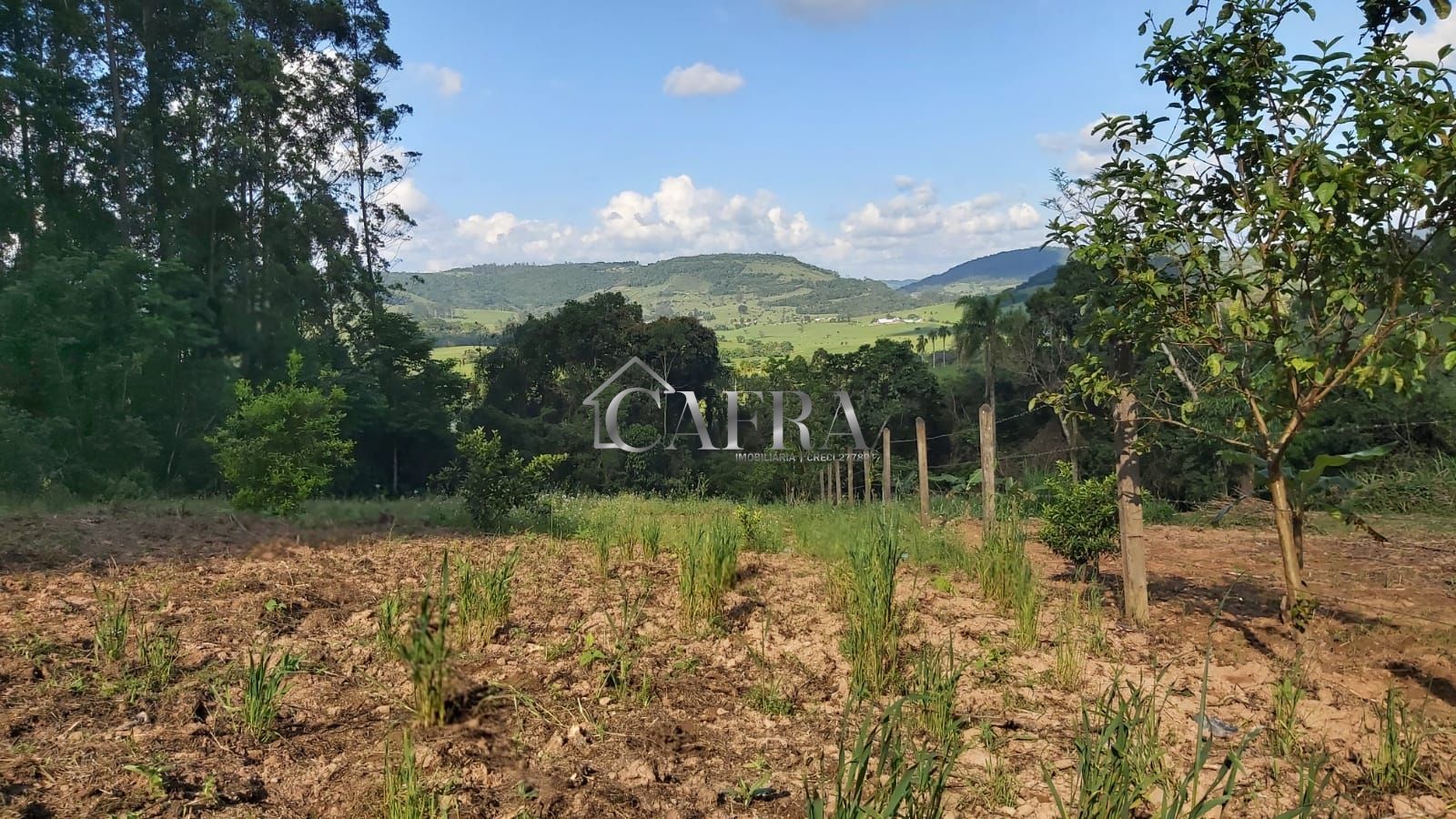 Chácara, 1 quarto, 2500 m² - Foto 3