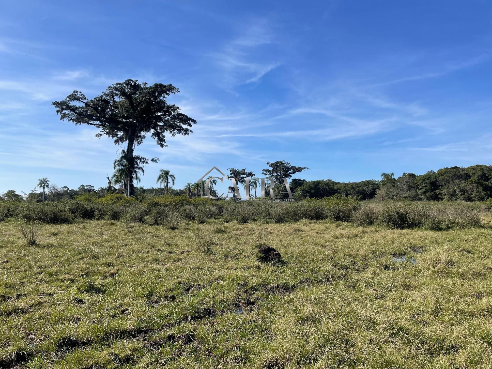 Terreno, 1500 m² - Foto 7