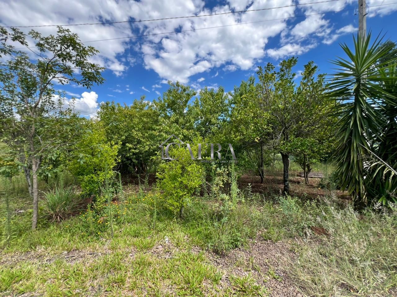 Chácara, 2 quartos, 2234 m² - Foto 3