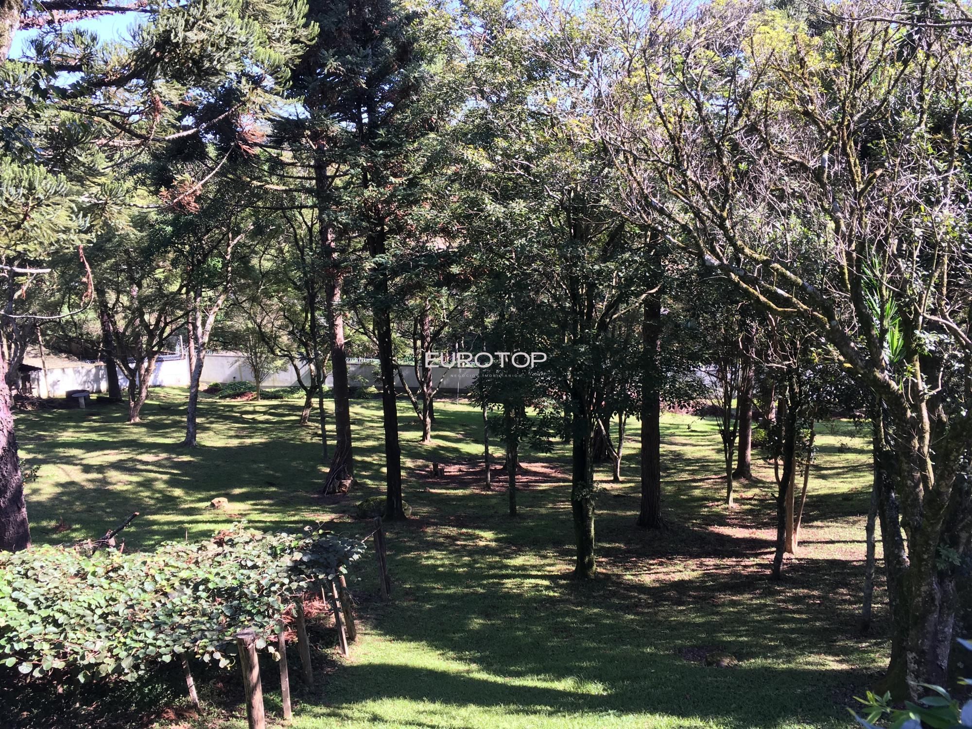 Casa à venda com 4 quartos, 700m² - Foto 43