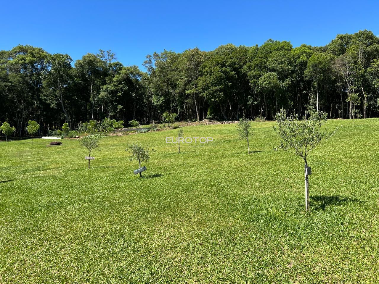 Fazenda à venda com 3 quartos, 100m² - Foto 14