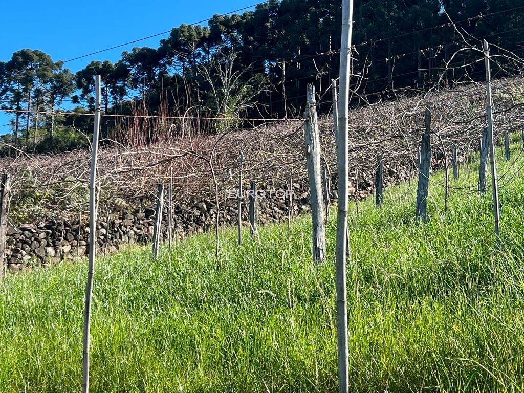 Loteamento e Condomínio à venda, 144m² - Foto 31