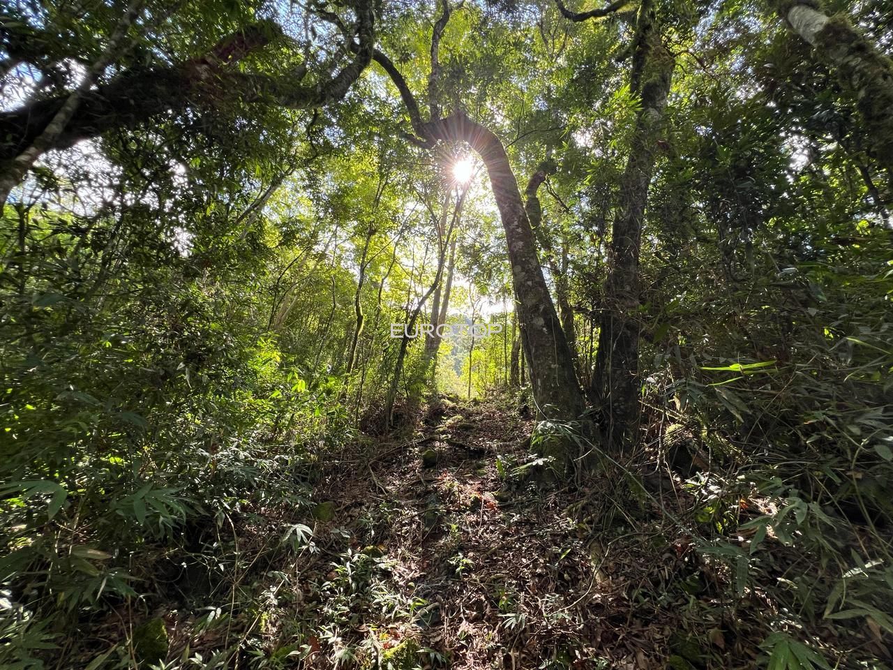 Loteamento e Condomínio à venda, 397200000m² - Foto 8