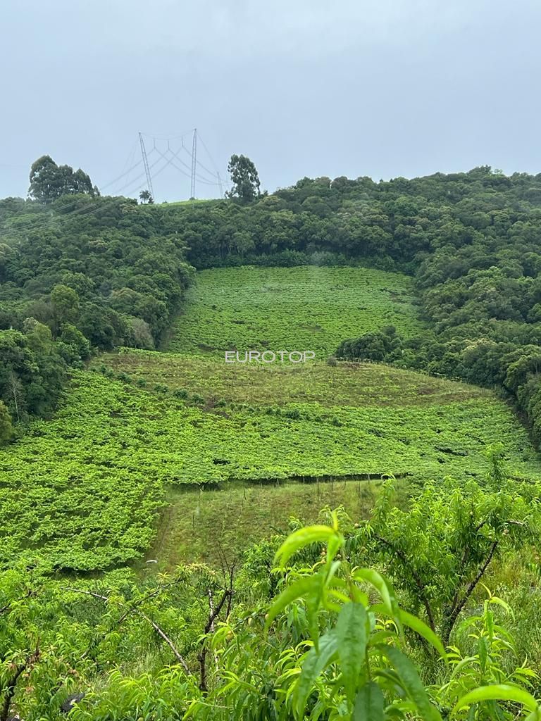 Terreno comercial  venda  no So Pedro - Bento Gonalves, RS. Imveis