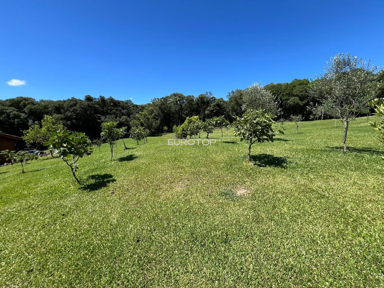 Fazenda à venda com 3 quartos, 100m² - Foto 26