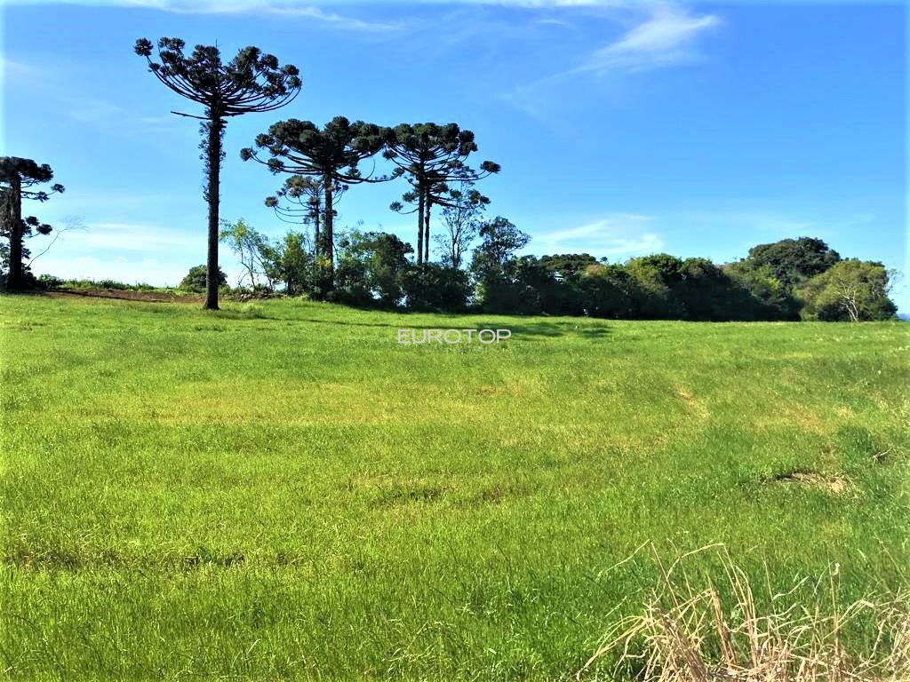 Terreno/Lote  venda  no Borghetto - Garibaldi, RS. Imveis